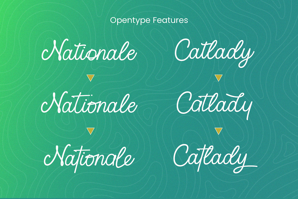 Cotieleny, a Handwritten Font by MERCURIAL (Photo 8 of 12)