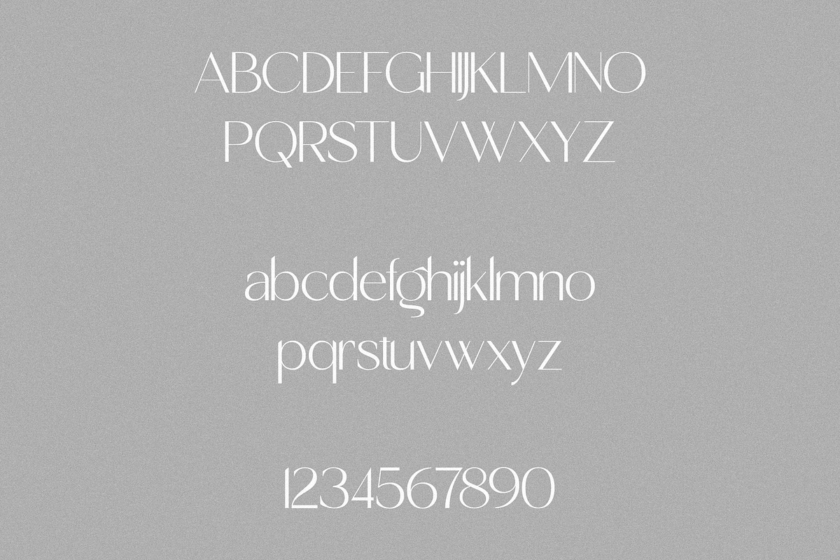 Shoreline - Classical Sans Serif Duo, a Sans Serif Font by Misha Sova (Photo 10 of 11)