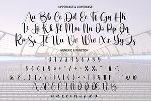 Calligraphy Script Font