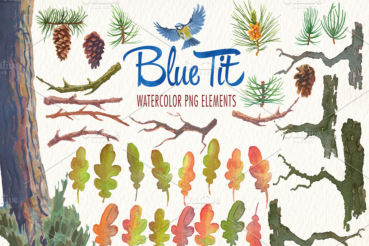 Watercolor blue tit bird clipart, an Illustration by Art & Things (Photo 6 of 8)