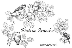 Birds on Branches Sketch