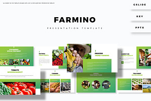 Farmino - Presentation Template