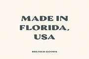Oasis, a Slab Serif Font by Bruised Goods (Thumbnail 5 of 5)