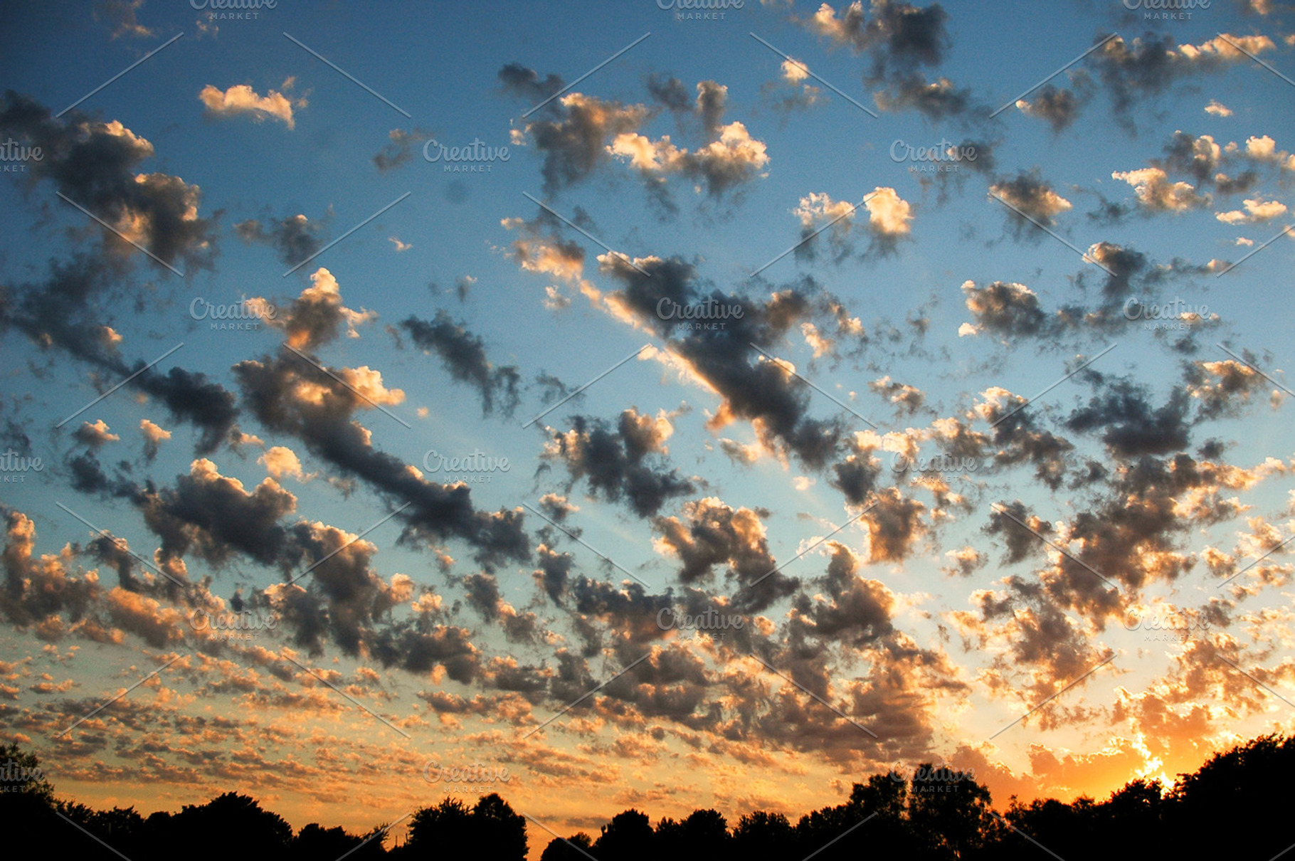 Lineup For Sunset