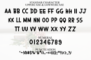 Varsity Spirit, a Script Font by FreshTypeINK (Thumbnail 5 of 8)