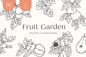 Fruit Garden Vector Illustrations, a Decorative Illustration by Emma Webb Studio