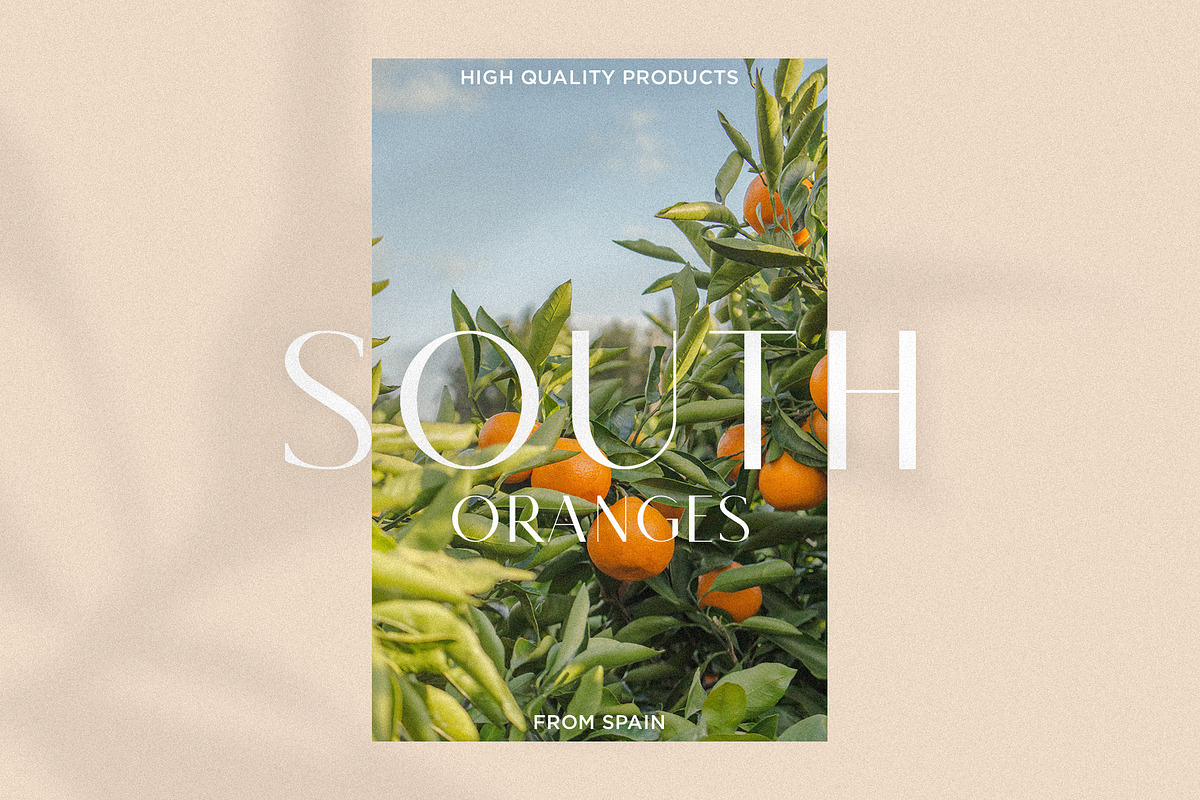 Monica - Classic & Elegant Sans, a Sans Serif Font by Mikhail Fukurou (Photo 5 of 12)