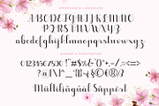 Heydan Script - a stylish fonts, a Script Font by Siwox Studios (Thumbnail 6 of 8)