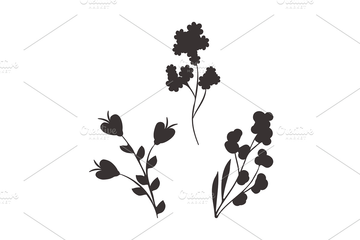 Black floral abstract silhouettes, an Object Illustration by okskukuruza