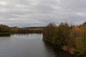 a lake and birches with yellow and orange foliage on the shore of a lake, lands, a Photo by rsoollAI