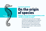 Darwin Pro - Family 30% off, a Sans Serif Font by Los Andes Type (Thumbnail 6 of 12)