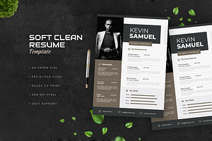 Soft Clean Resume