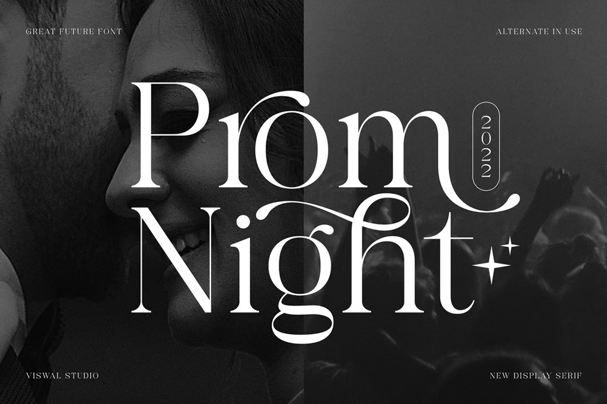 Great Future - Modern Font, a Serif Font by Viswal Studio (Photo 2 of 5)