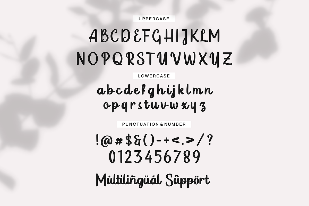 Luckyfield Fat Handwritten Font, a Script Font by Allouse Studio (Photo 9 of 10)