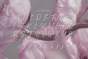 Lapierro Script, a Script Font by GlottaTypeface (Thumbnail 5 of 8)
