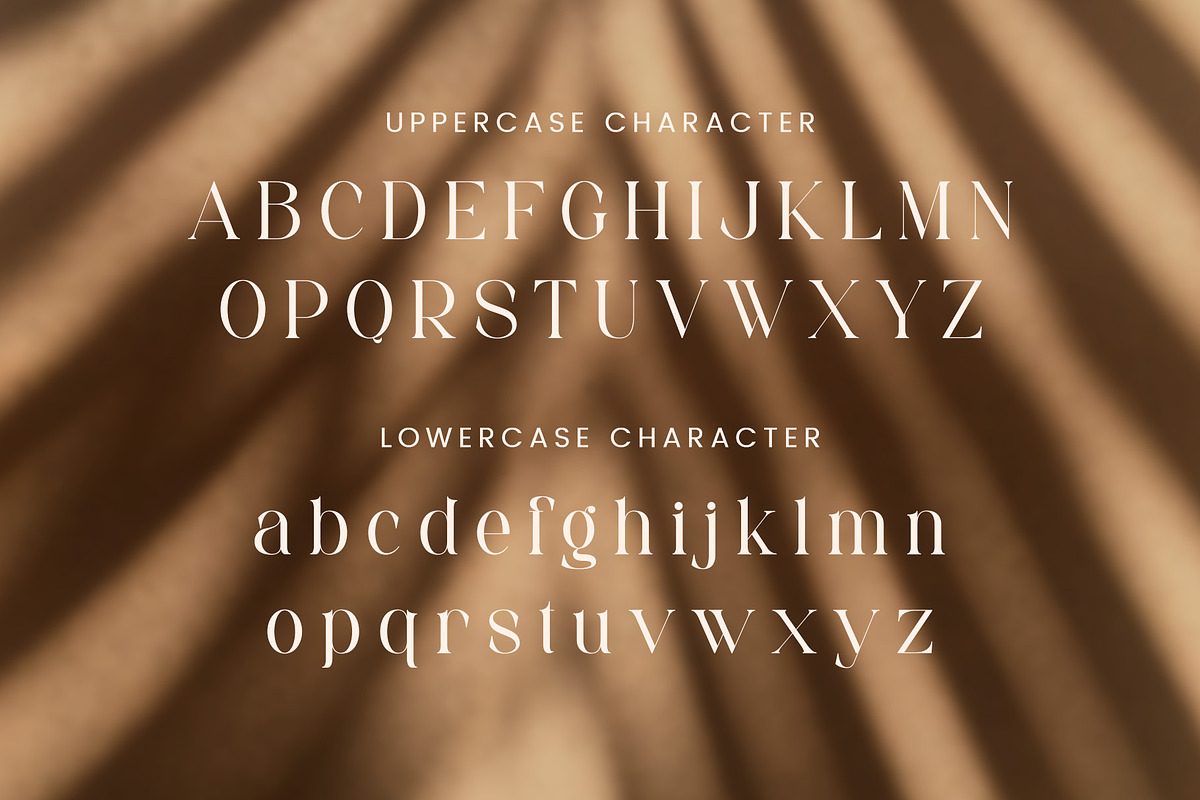 Michola - Beautiful Serif Font, a Serif Font by Aqeel_Art (Photo 11 of 12)