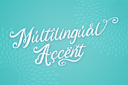 Fine Spring, a Script Font by Attype (Thumbnail 9 of 10)