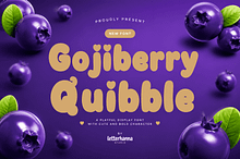 Gojiberry Quibble Font