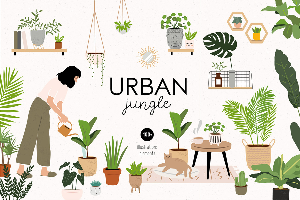 House plants | Urban jungle, a Decorative Illustration by AngelinaKovel (Photo 1 of 10)