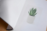 Brochure Mockup Set, a Books & Magazine Mockup by Croma Studio (Thumbnail 17 of 18)