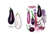 Watercolor vegetables. Eggplant., a Food Illustration by katya.bogina (Thumbnail 3 of 4)