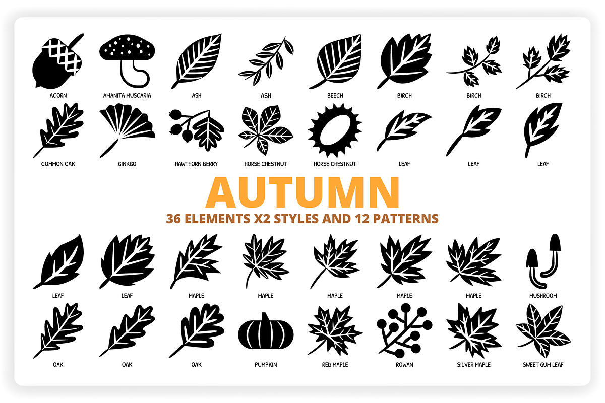 36 Autumn Elements + 12 Patterns, a Graphic by monkik (Photo 1 of 12)