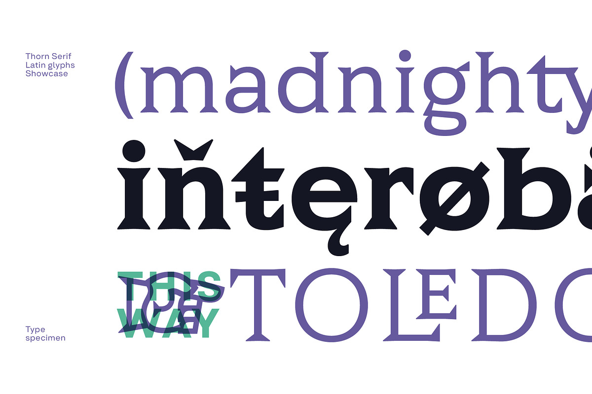 Thorn Serif, a Serif Font by Type Forward (Photo 4 of 8)