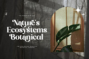 Kind Avenue - Stylish Retro Font, a Serif Font by The_Type (Thumbnail 2 of 12)