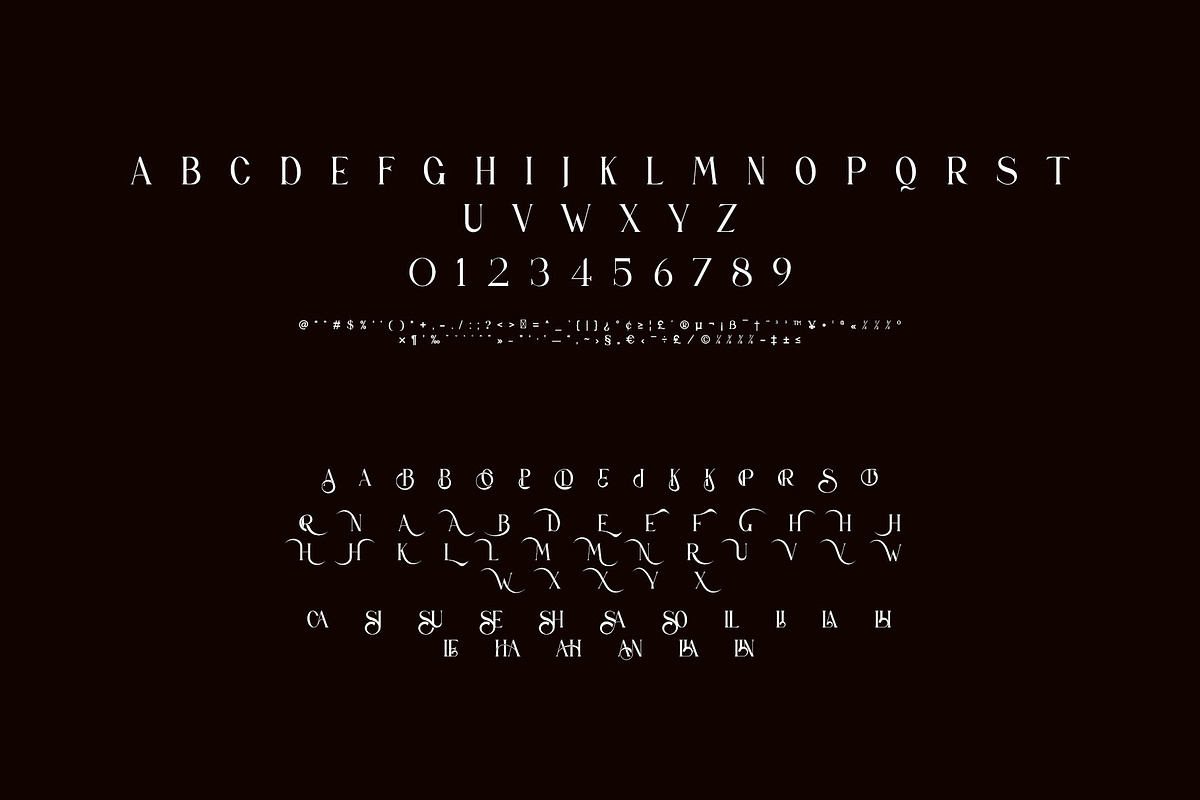 SALINCA Unique Serif Typeface, a Serif Font by yaqublekker (Photo 9 of 9)