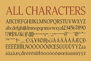 CS Quinzel – Contemporary Font, a Serif Font by Craft Supply Co. (Thumbnail 8 of 8)
