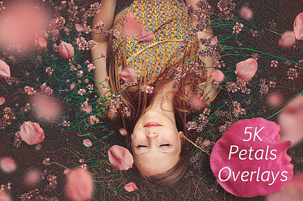5K Petals Overlays