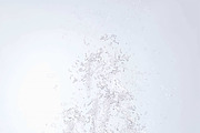 Liquify 2 Photoshop Action preview 6