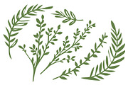 6 Vector Leafy Branches, a Decorative Illustration by UoaHH (Thumbnail 2 of 2)