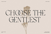 Luxury Ligature Serif Font - Galvore, a Serif Font by Say Studio (Thumbnail 8 of 10)