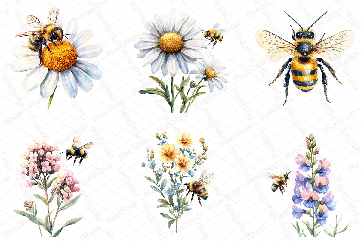 Summer Honey Garden Clipart, an Illustration by DreamPrint404 (Photo 4 of 7)