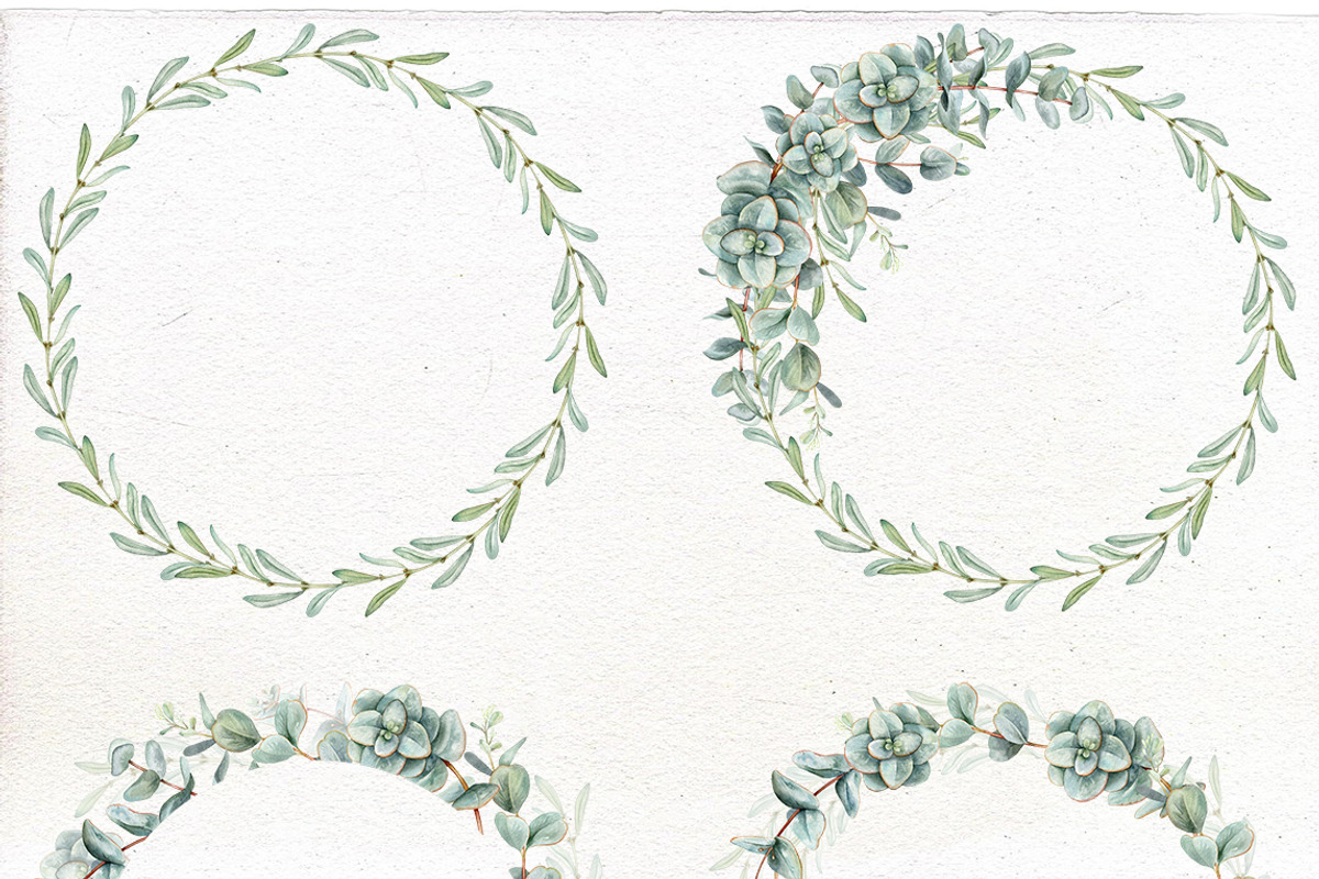 Watercolor Eucalyptus clip art., a Decorative Illustration by Mary (Photo 3 of 4)