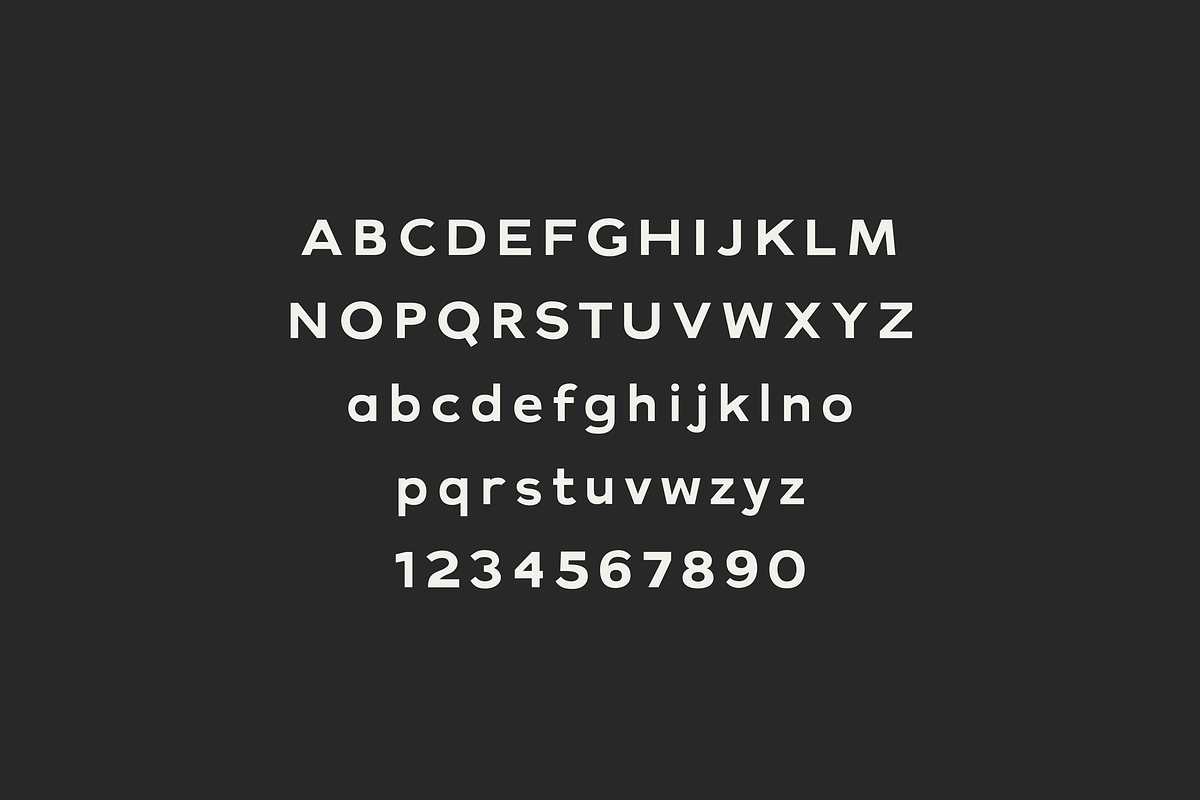 Milne - A Bold Sans Serif, a Sans Serif Font by Cassandra Cappello (Photo 7 of 11)