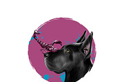Zodiac signs  - DOGS HOROSCOPE, an Icon by Dneprstock (Thumbnail 4 of 4)