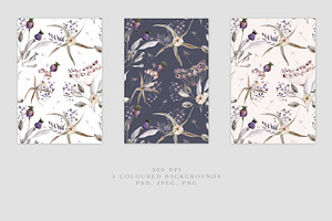 Alchemy Dried Florals