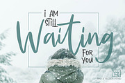 WINTER FROST Script + SVG + Bonus, a Script Font by Olexstudio (Thumbnail 19 of 19)