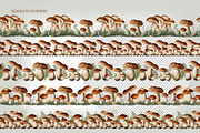 Mushrooms watercolor clip art, a Seasonal Illustration by Alena Sid (Thumbnail 9 of 13)