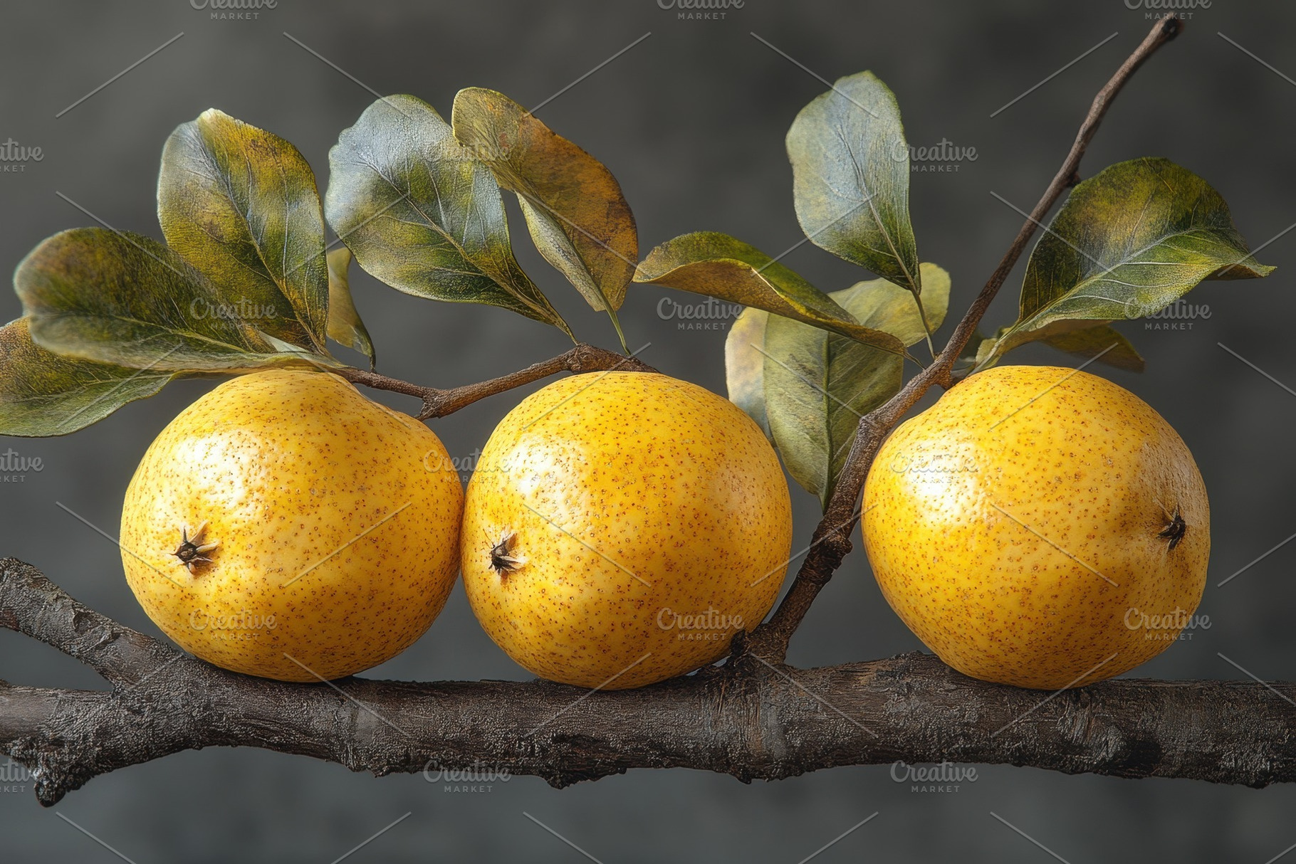 Yellow fruit lined on a branch with, a Photo by Tanuart