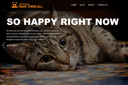 Pets - WordPress Theme