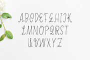 Erica Script Font, a Script Font by Creativetacos (Thumbnail 2 of 5)