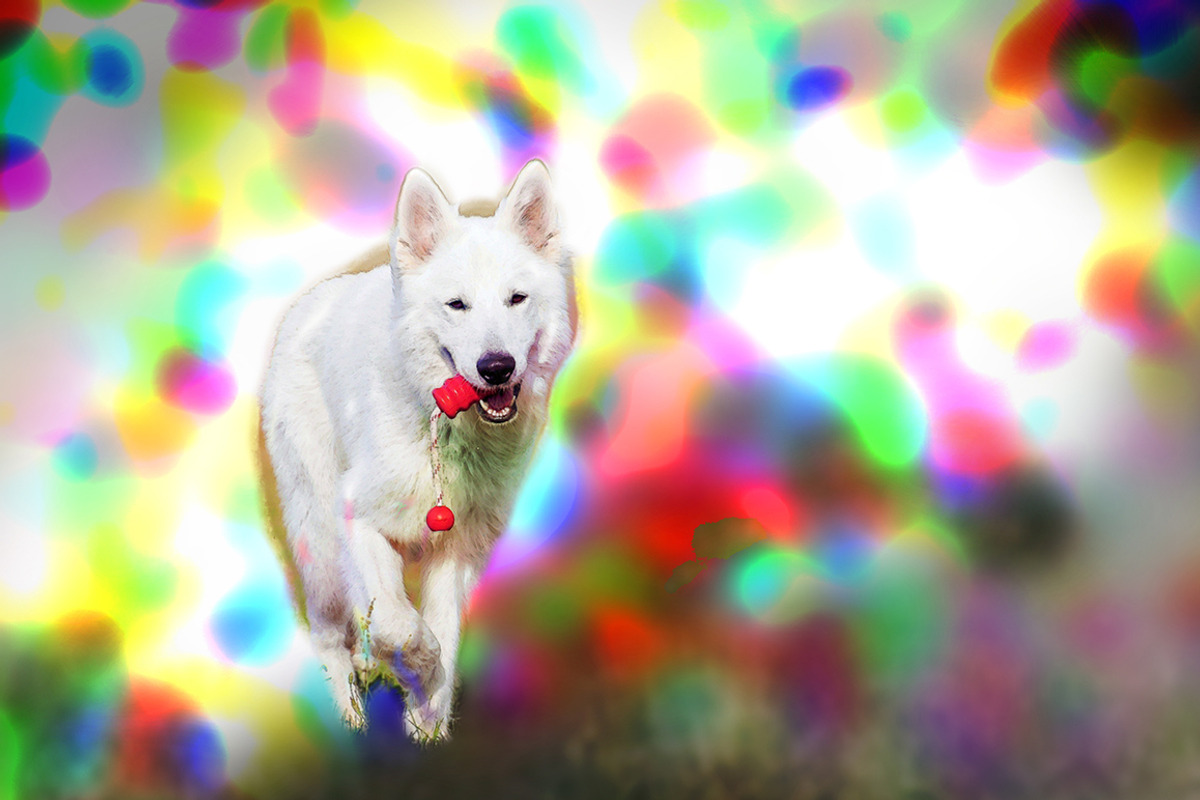 Precious Colors Photoshop Action, an Action Add-On by KiraYamato Design Studio (Photo 16 of 18)