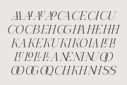 The Letter Editorial – Modern Serif, a Serif Font by Lettertype Studio (Thumbnail 10 of 16)