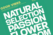 Gesty Ratio Modern Display Font, a Sans Serif Font by timelesstype.co (Thumbnail 3 of 20)
