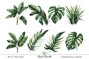 Boho Jungle Nursery Art PNG Set, an Illustration by MockupWizard (Thumbnail 3 of 5)