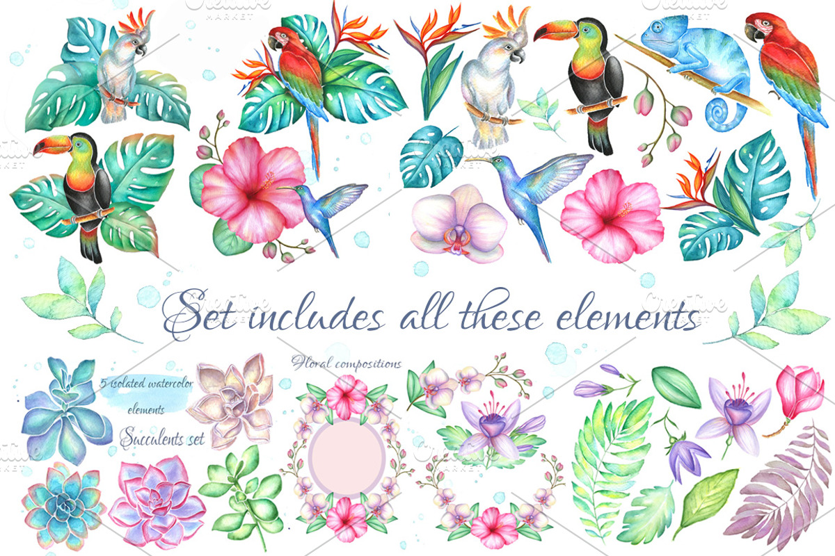 Big tropical bundle, an Illustration by artdreamer (Photo 3 of 10)