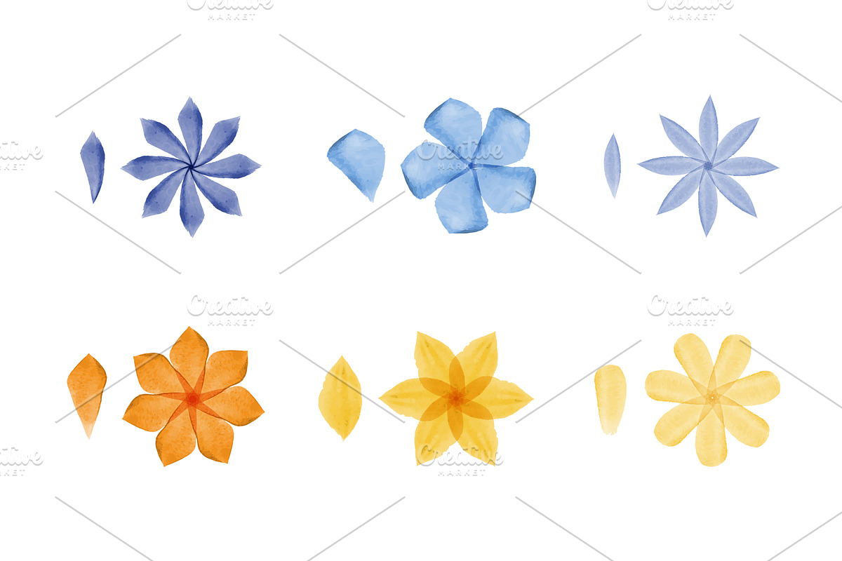 Colorful watercolor flower blossoms, an Illustration by okskukuruza